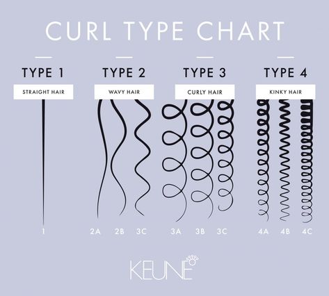 Curl Pattern Chart, Curl Type Chart, Type 2a Hair, 4b Hair Type, Hair Type Chart, Hair Chart, Type Chart, Different Types Of Curls, Best Hair Stylist