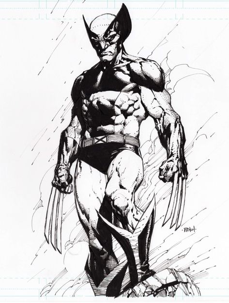 Wolverine by David Finch  Comic Art Wolverine Comic Art, Wolverine Artwork, Rare Comic Books, Comic Art Sketch, David Finch, Wolverine Comic, Wolverine Art, Comic Book Art Style, Comic Book Store