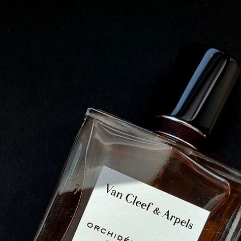 Hanna | Perfume Reviews on Instagram: "Orchidée Vanille - Van Cleef & Arpels I love it more everytime I am wearing it, that's why I needed to take it back into spotlight✨️. Let's be honest, it is not a loud fragrance, it stays more close to the skin, but it is soo delicious! Chocolate, vanilla, flowers...🤤 Although projection is not the best, I can smell it 6-7 hours on my clothes and it is great for layering too🥰. You can find a more detailed review in my previous posts😉. I also would l Perfume Reviews, Take It Back, 7 Hours, My Clothes, Van Cleef Arpels, Delicious Chocolate, Van Cleef, Be Honest, Vision Board