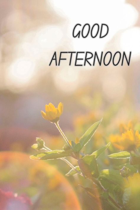 GOOD AFTERNOON Good Afternoon Quotes Inspirational, Midday Slump, Afternoon Messages, Alice Waters, Good Afternoon Quotes, Afternoon Quotes, Lovely Flowers Wallpaper, Sunny Afternoon, Insta Profile