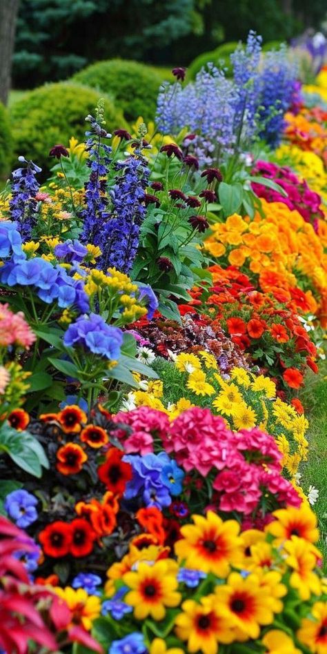 Colorful Flower Garden, English Flower Garden, Potted Flowers, Backyard Flowers, Front Yard Garden Design, Corner Garden, Tiny Plants, Flower Landscape, Beautiful Flowers Garden