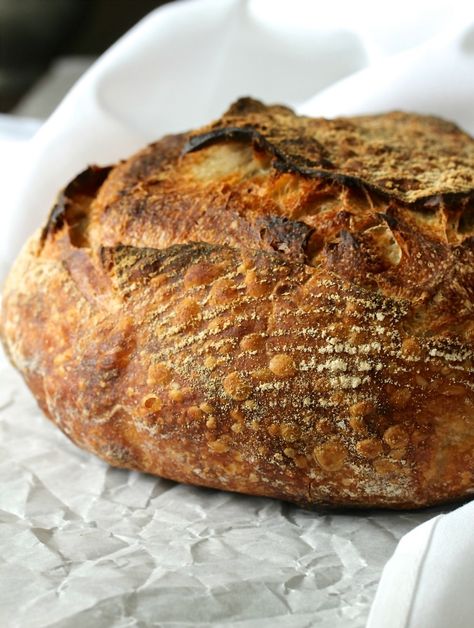 Karen's Kitchen Stories: Tartine Basic Country Bread Bread Photos, Bread Rustic, Tartine Bread, Brioche Recipe, Fresh Baked Bread, Sprouted Grains, Artisan Breads, Country Bread, Homemade Sourdough Bread