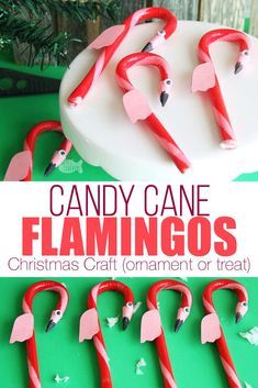 This cute DIY Flamingo Candy Cane Craft for Christmas is fun for a Hawaiian Christmas party or for our Alice in Winter Wonderland Christmas party theme | kid crafts | flamingo craft | candy cane treat | flamingo candy cane | edible flamingo treat | fun food ideas | edible craft | Christmas candy cane ornament | flamingo ornament #christmas #kidscrafts #flamingo Diy Flamingo, Winter Wonderland Christmas Party, Flamingo Craft, Candy Cane Crafts, Diy Christmas Party, Hawaii Christmas, Flamingo Wallpaper, Florida Christmas, Beachy Christmas