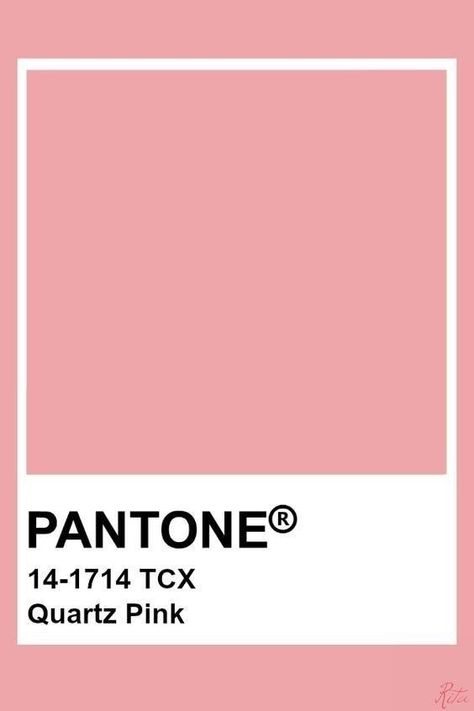 Pantone Tcx, Pantone Color Chart, Pantone Swatches, Peony Colors, Drag Make-up, Pantone Palette, Color Pantone, Pantone Colour Palettes, Wedding Moodboard