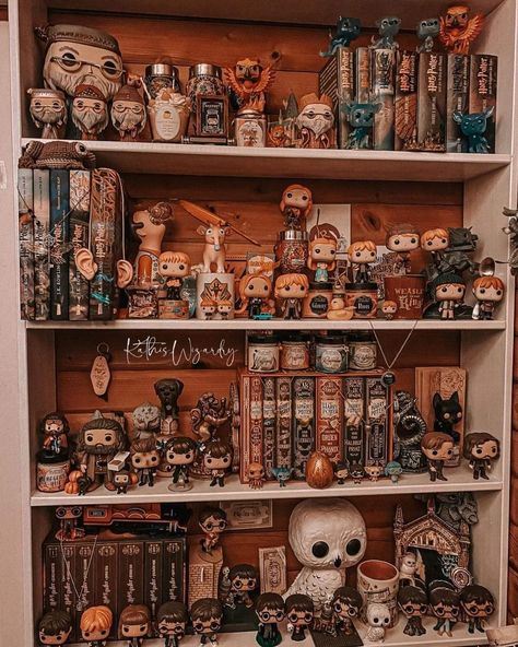 Funko Pop Display Ideas, Slytherin Room, Harry Potter Display, Harry Potter Library, Harry Potter Bedroom Decor, Игрушки Funko Pop, Funko Pop Display, Harry Potter Room Decor, Harry Potter Classroom