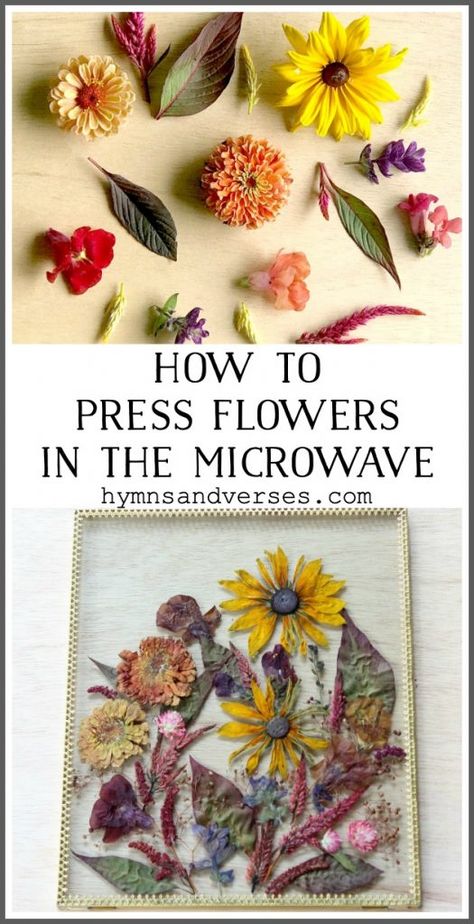 Microwave Flower Press, Pressed Flowers Diy, Press Flowers, Dried Flowers Diy, Pressed Flower Crafts, Flower Press, Fleurs Diy, Dried And Pressed Flowers, Pressed Flower Art