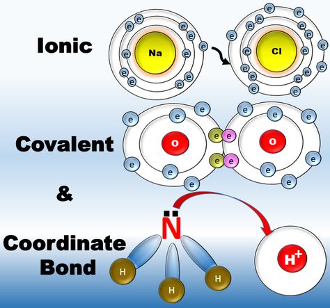 Ionic vs Covalent vs Coordinate Bond |Types of Chemical Bonds😊 Chemistry Animation For more chemistry tutorials, visit Digital Kemistry YouTube channel #chemistry #digitalkemistry #chemicalbonding #youtube Types Of Bonds Chemistry, Covalent And Ionic Bonds, Chemistry Animation, Covalent Bonds, Chemical Bonds, Chemical Bonding, Organic Chemistry Study, Chemistry Study Guide, Chemistry Basics