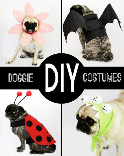 Clothes Halloween Costumes, Diy Dog Costumes, Dog Clothes Diy, Cute Bulldogs, Pet Halloween Costumes, Dog Projects, Dog Halloween Costumes, Diy Dog, Dog Costumes