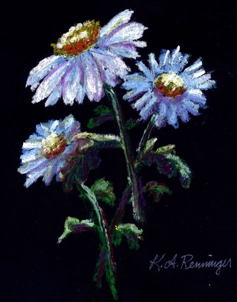 Daisies in Oil Pastel Daisy Drawing, Oil Pastel Drawings Easy, Soft Pastels Drawing, Black Pastel, Soft Pastel Art, Black Paper Drawing, About Plants, Pastel Artwork, Oil Pastel Paintings