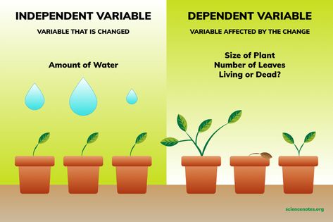 Independent and Dependent Variables Examples Independent And Dependent Variables, Hypothesis Examples, Independent Variable, Math Examples, Science Skills, Science Worksheets, Relationship Help, Scientific Method, Educational Worksheets