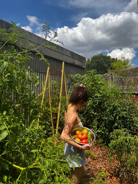 Spring Gardening Aesthetic, Growing Vegetables Aesthetic, Gardening Pictures, Urban Garden Aesthetic, Gardening Backyard, Personal Garden, Gardner Aesthetic, Garden Lifestyle, Vision Board Garden