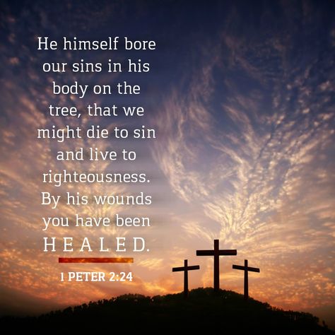 1 Peter 2:24, “He himself bore our sins” in his body on the cross, so that we might die to sins and live for righteousness; “by his wounds you have been healed.” Childlike Faith, Powerful Scriptures, Bible Quotes Images, Worship The Lord, Biblical Verses, Spiritual Guides, Body On, Prayer Warrior, 1 Peter