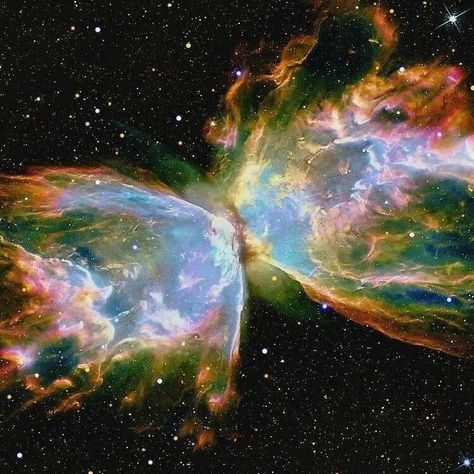 Universe | Nature | Science on Instagram: “NGC 6302, also known as butterfly nebula, is a bipolar planetary nebula in the constellation Scorpius. The structure in the nebula is among…” Butterfly Nebula, Planetary Nebula, Nebula Wallpaper, Hubble Telescope, Hubble Space, Space Pictures, Hubble Space Telescope, Space Telescope, Universe Art