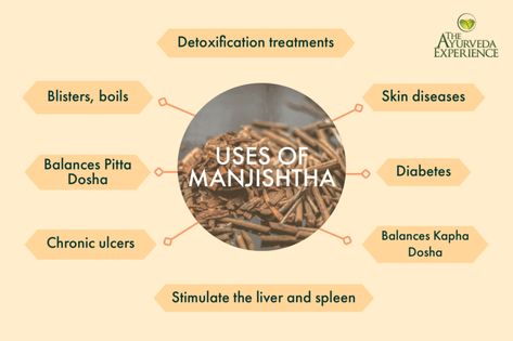 Everything you need to know about Manjishta! | The Ayurveda Experience The Ayurveda Experience, Ayurveda Diet, Long Pepper, Pitta Dosha, Skin Diseases, Oils For Skin, Healthier You, Skin Conditions, Skin Health