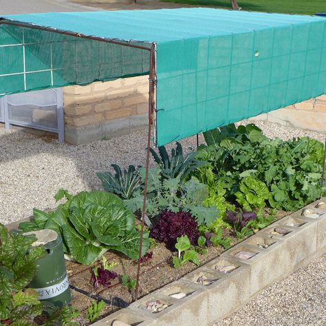 Shade For Vegetable Garden, Diy Shade For Garden, Shade Cloth Ideas, Diy Sun Shade, Garden Shade Cloth, Shade Cloth Garden, Arizona Landscaping, Diy Greenhouses, Garden Diy Projects