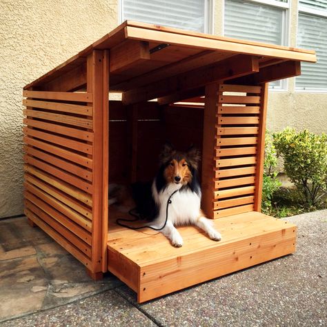 5 Luxury Dog Houses for the Modern Pup - Colorado Homes & Lifestyles Cheap Dog Houses, Luxury Dog House, Modern Dog Houses, Outdoor Dog House, Dog House Plans, Cool Dog Houses, Easiest Dogs To Train, Basic Dog Training, Dog House Diy