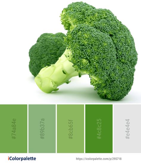 Color Palette ideas #icolorpalette #colors #inspiration #graphics #design #inspiration #beautiful #colorpalette #palettes #idea #color #colorful #colorscheme #colorinspiration #colorcombinations #colorcombos Vegetables Color Palette, Vegetable Color Palette, Leaf Vegetable, Color Palette Ideas, Colors Inspiration, Palette Ideas, Pastel Colour Palette, Green Colour Palette, Pastel Palette