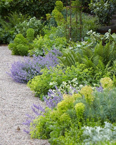 Paths, pavers, and purple plants exploded on the Gardenista Instagram feed this year; here's a look back at our most popular posts. Not a follower yet? We' Mediterranean Garden Design, Gravel Landscaping, Front Garden Landscape, Gravel Path, Gravel Garden, Garden Walkway, Walled Garden, Have Inspiration, Mediterranean Garden