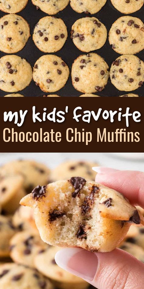 My kids always request these chocolate chip mini muffins! They're easy to make, healthy, and delicious! Mini Muffins For Kids Healthy, Healthy Chocolate Mini Muffins, Simple Muffins For Kids, Healthy Mini Muffins For Toddlers, Mini Muffin Tin Recipes Healthy, Healthy Chocolate Muffins For Kids, Easy Healthy Muffins For Kids, Homemade Little Bites Muffins, Moldova Recipes