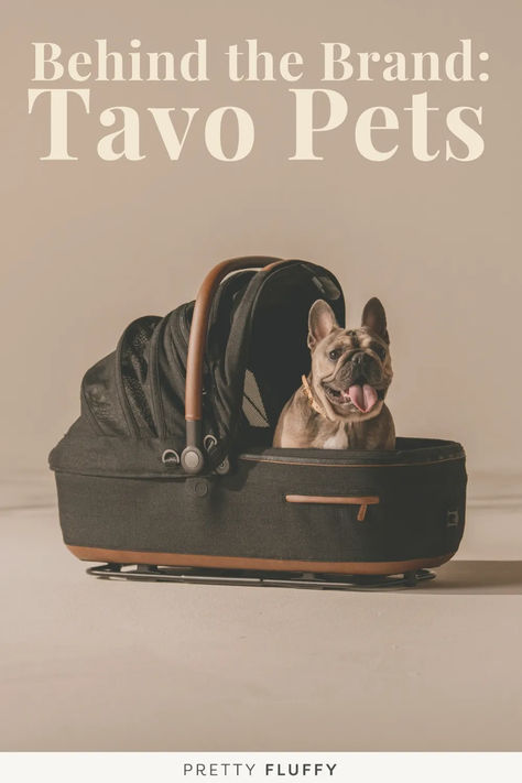 Luxury pet carrier and car seat by Tavo, featuring a stylish and safe travel solution for pets Luxury Pet Carrier, Dog Travel Accessories, Pet Travel Carrier, Dog Car Seat, Pet Car Seat, Dog Car Seats, Pet Car, Travel Safety, Luxury Pet