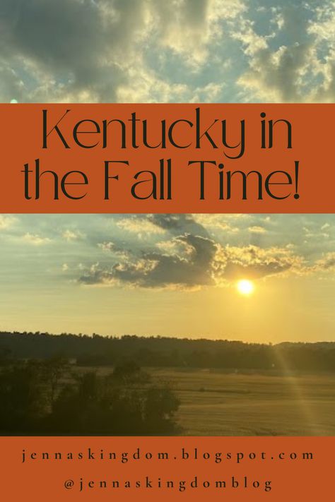 Kentucky is beautiful in general, but something about the fall has made it even more stunning! There are lots of fun foods and fall activities in Kentucky to check out. Fun Foods, Fall Time, Fall Activities, What To Eat, Autumn Activities, Fall Fun, In The Fall, Fun Things, Made It