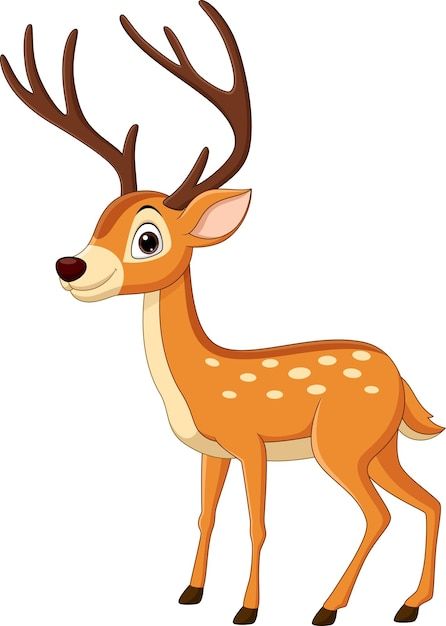 Vector cartoon funny deer on white backg... | Premium Vector #Freepik #vector #cartoon-deer #cute-deer #baby-deer #fawn Deer Breeds, Rain Gif, Deer Cartoon, Premium Vector Cartoon, Funny Deer, Cartoon Funny, Vector Cartoon, Funny Cartoons, Vector Photo