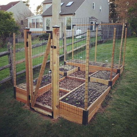 50 Raised Garden Bed DIY Ideas - Home Soils Diy Raised Beds Garden Cheap, Raised Garden Layout, Bed Diy Ideas, Diy Raised Beds, Raised Garden Bed Diy, Garden Bed Diy, Raised Beds Garden, Landscape Design Diy, Bed Diy