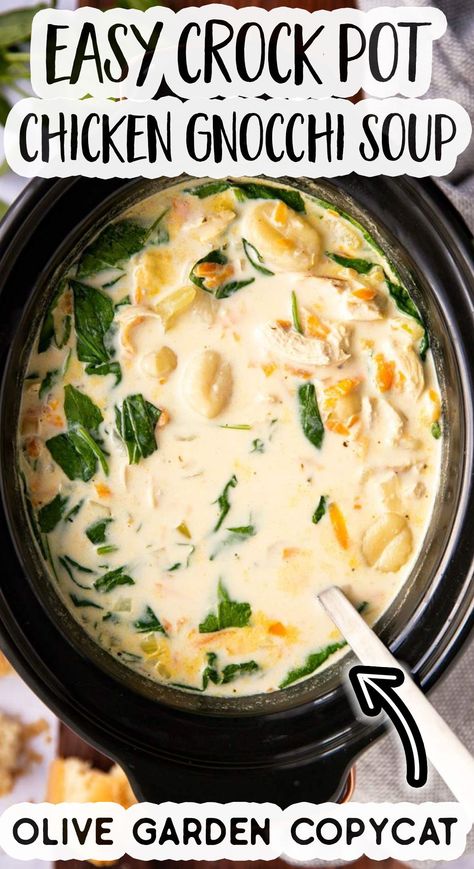 Crockpot Chicken Gnocchi, Chicken Gnocchi Soup Recipe, Chicken Gnocchi Soup Olive Garden, Chicken Gnocchi, Chicken Gnocchi Soup, Gnocchi Soup, Crockpot Soup Recipes, Gnocchi Recipes, Crockpot Dishes