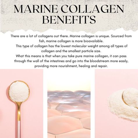 Marine Collagen Benefits, Collagen Supplements Benefits, Health Benefits Of Collagen, Benefits Of Collagen, Anti Aging Smoothie, Collagen Benefits, Collagen Supplements, Marine Collagen, Blood Vessels