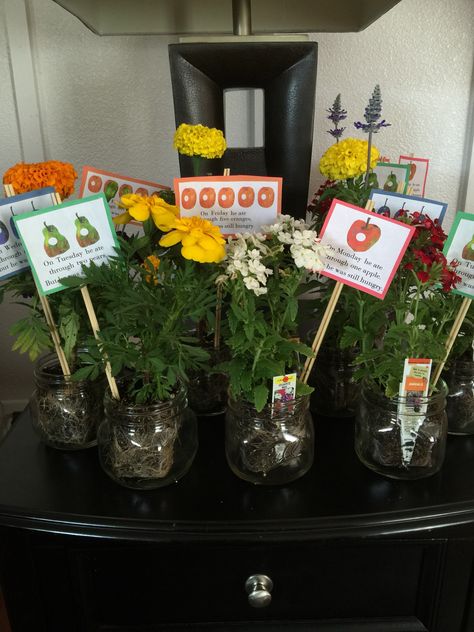 The Very Hungry Caterpillar centerpieces! Cheap $.90 flower pots from Home Depot, put into mason jars #simple Hungry Caterpillar Birthday Centerpiece, Hungry Caterpillar Centerpiece, Eric Carle Party, Book Themed Birthday Party, Hungry Caterpillar Cake, A Very Hungry Caterpillar, Birthday Boxes, Very Hungry Caterpillar Party, Very Hungry Caterpillar Birthday