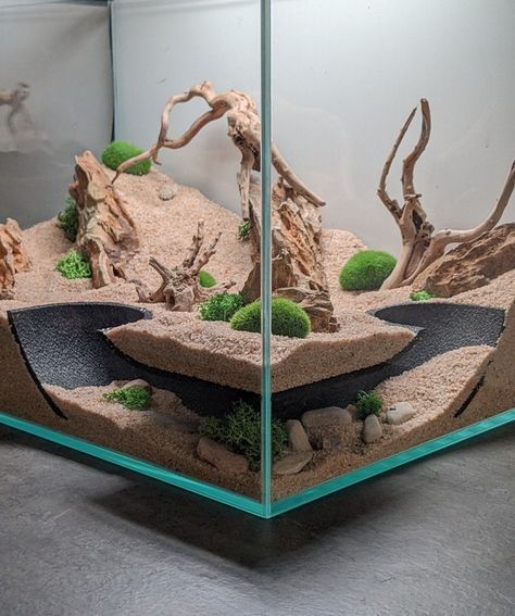 Arid Bioactive Vivarium, Reptile Room Aesthetic, Aquarium Tunnel, Leopard Gecko Hide, Python Tank, Diy Bearded Dragon Enclosure, Leopard Gecko Tank, Bearded Dragon Enclosure, Gecko Terrarium