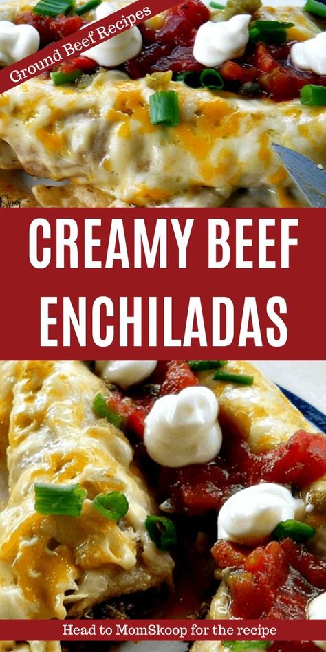 Beef Fajita Enchiladas, Creamy Enchiladas Beef, Pioneer Woman Beef Enchiladas, Ground Beef Enchiladas With Cream Cheese, Ground Meat Enchiladas, Beef And Chorizo Enchiladas, Creamy Beef Enchiladas, Beef Enchiladas Casserole, Roast Beef Enchiladas