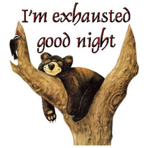 I'm exhausted, good night good night good night quotes good night wishes Good Night Meme, Funny Good Night Images, Calin Gif, I'm Exhausted, Good Night Sleep Tight, Good Night Funny, Good Night Everyone, Night Gif, Cute Good Night