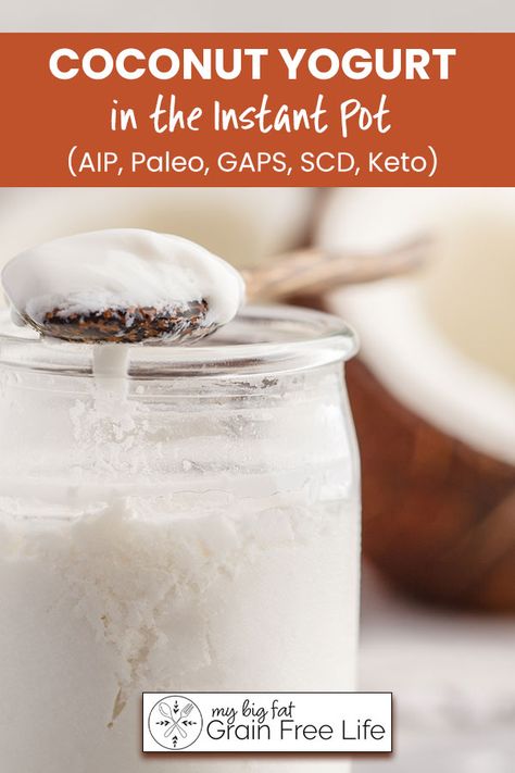 Coconut Yogurt Instant Pot, Pana Cotta Recipe, Yogurt In The Instant Pot, Coconut Yogurt Recipe, Yogurt Recipe, Dairy Free Yogurt, Aip Diet, Aip Paleo, Aip Recipes