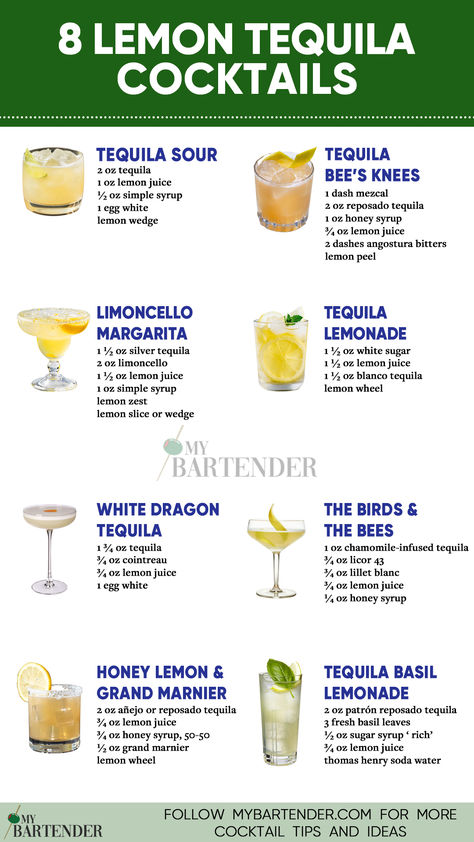 Lemon Tequila Cocktails Lemon Tequila Drinks, Yellow Tequila Cocktails, Tequila Spritzer Cocktails, Best Tequila Cocktails, Easy Tequila Drinks Simple, Cocktails With Lemon, Tequila Cocktails Recipes, Easy Tequila Cocktails, Cocktail With Tequila