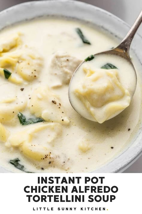 Creamy Tortellini Soup Instant Pot, Ravioli Soup Instant Pot, Tortellini Soup Instant Pot, Instapot Dinner Recipes, Chicken Alfredo Tortellini Soup, Alfredo Tortellini Soup, Instant Pot Tortellini Soup, Chicken Alfredo Tortellini, Creamy Instant Pot Chicken