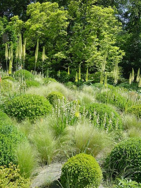 Collonge_Bellerive_Atelier_Jardins_Christian_Preaud_09 Naturalistic Garden, Planting Design, Grasses Garden, Gardening Flowers, Have Inspiration, Mediterranean Garden, Woodland Garden, Love Garden, Garden Landscape Design