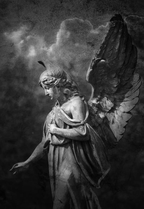 Greek Mythology: “Myrrha, Adonis and Persephone”. (Myths and Interpretation).- | La Audacia de Aquiles Angels Tattoo, Eros And Psyche, Cemetery Angels, Cemetery Statues, Statue Tattoo, Twilight Photos, I Believe In Angels, Greek Statues, Angel Statue