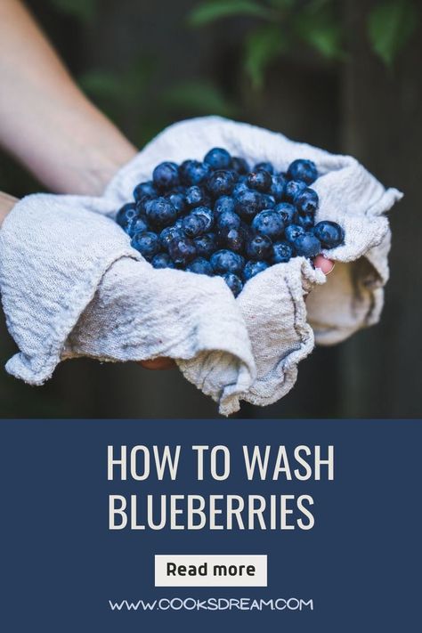 How To Wash Blueberries | Cooks Dream Wash Blueberries, Blueberries Fruit, Fruit Berries, How Do You Clean, Vinegar Cleaning, Me Clean, Pesticides, Blueberries, Cooking And Baking