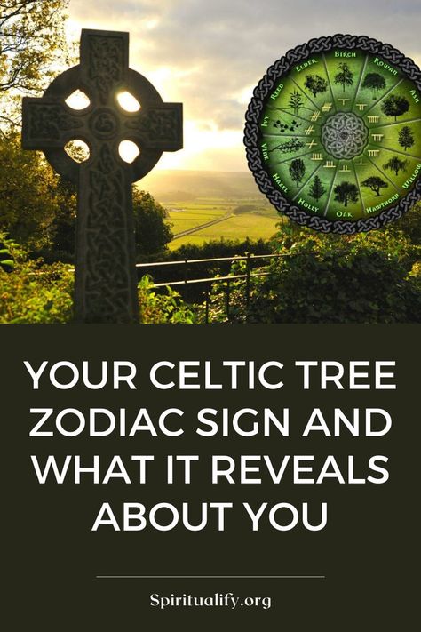 Your Celtic Tree Zodiac Sign And What it Reveals About You Celtic Tree Zodiac, Tree Zodiac, Celtic Zodiac Signs, Celtic People, Celtic Zodiac, The Celts, Celtic Tree, Life Choices, The Alphabet