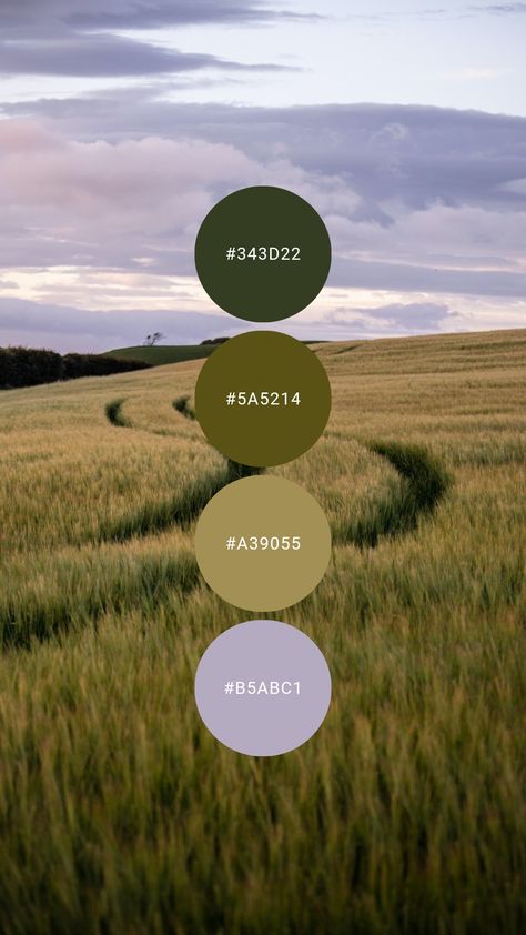 Colour Combinations Earth Tones, Olive Color Palette Outfit, Green Lavender Aesthetic, Ireland Color Palette, Olive Green And Lavender Wedding, Scrivener Aesthetic, Lavender Color Aesthetic, Indie Color Palette, Olive Color Palette