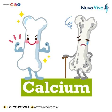 Calcium is one of the most important minerals for the human body – especially for the bones and teeth. As you know already, milk, cheese and all dairy products are good sources of calcium. Calcium is also seen in minor quantities in nuts, and in leafy vegetables Balanced Diet Chart, Lifestyle Diseases, Calcium Deficiency, Good Sources Of Calcium, Sources Of Calcium, Diet Chart, Leafy Vegetables, Dairy Products, The Human Body