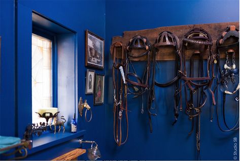 Bright blue wall with bridle rack Stable Style, Tack Rooms, Blue Horse, Tack Room, Horse Barns, Horse Barn, Blue Walls, White Trim, The Barn