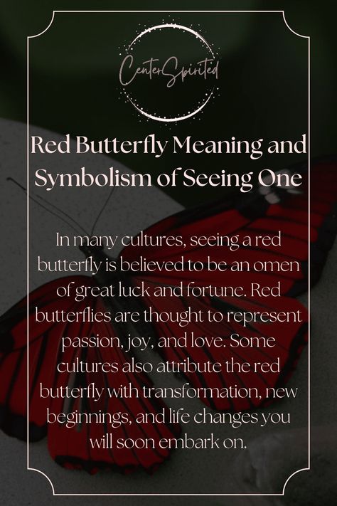 Red Butterfly Meaning, Red Admiral Butterfly Meaning, Red Symbolism, Spiritual Signs, Butterfly Symbolism, Butterfly Meaning, Butterfly Transformation, Spiritual Magic, Animal Signs