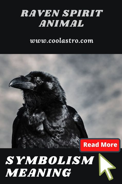 Raven Symbolism, Crow Meaning, Raven Spirit Animal, Raven Totem, Spirit Animal Meaning, Animal Meanings, Spiritual Animal, Animal Spirit Guides, Signs From The Universe