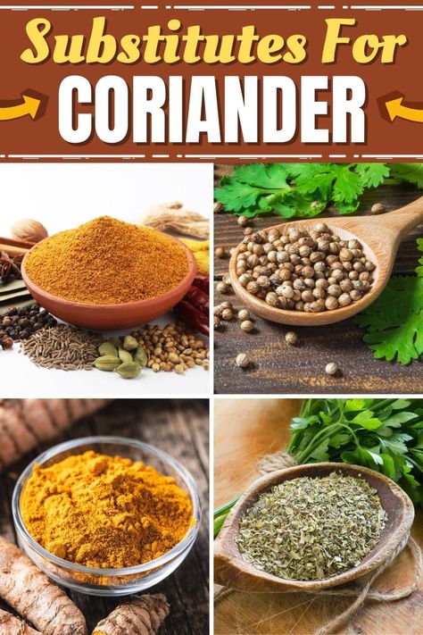 From cumin and basil to curry powder, here are my top substitutes for coriander. While they don't have the same flavor, they all work well in most dishes. Substitute For Coriander, Substitute For Cumin, Cumin Substitute, Garam Masala Curry, Recipes Sauces, Coriander Oil, Vietnamese Noodles, Italian Tomato Sauce, Kitchen Skills