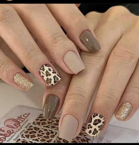 Safari Nails, Nail Nail Designs, Nail Polish Ideas, Cheetah Nail Designs, Animal Print Nails Art, Nails Yellow, Pink Gel, Polish Ideas, Leopard Nails