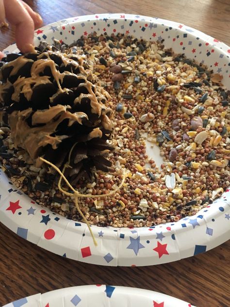 How to Make a Simple Pinecone Bird Feeder - New Mom at 40 Pinecone Bird Feeder, Pine Cone Bird Feeder, Preschool Christmas Crafts, Diy Activities, Bird Seed, Preschool Christmas, Birds Flying, Autumn Activities, Diy Crafts For Kids