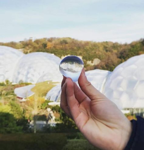 Edible Water Bubbles That Might Soon Replace Plastic Bottles | Bored Panda Edible Water Bottle, Plastic Problems, Home Brewery, Avocado Seed, Plastic Water Bottles, Incredible Edibles, Water Containers, Water Bubbles, Biodegradable Plastic