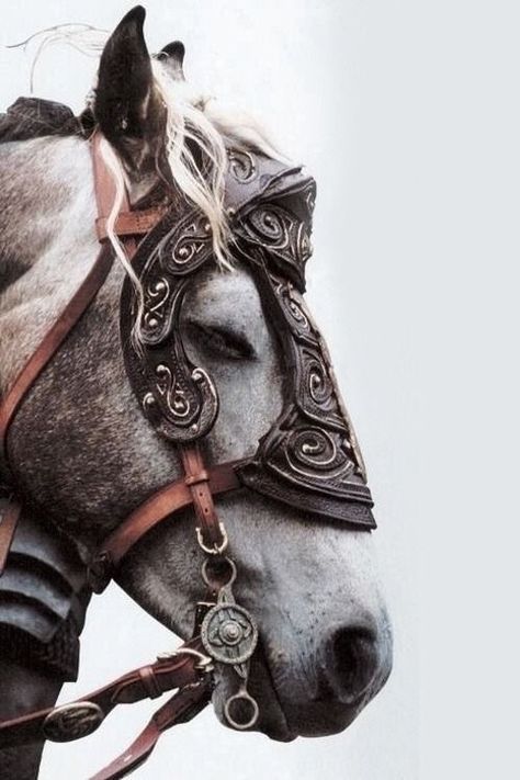 Equitation Aesthetic, Lord Of The Rings Aesthetic, Lotr Aesthetic, Lord Rings, Roi Arthur, Fairytale Aesthetic, Medieval Aesthetic, Rings Aesthetic, Jrr Tolkien